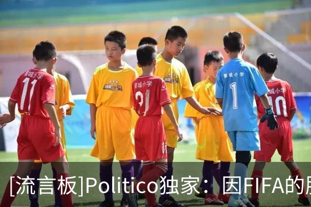 [流言板]Politico独家：因FIFA的股权事件，欧洲足坛已想推举纳赛尔